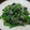 52週間's cooksnap of when they made 簡単！ほうれん草とじゃこのにんにく炒め.