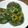 有希-yuki-'s cooksnap of when they made 野菜たっぷり☆さっぱり中華ハンバーグ☆.