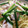 52週間's cooksnap of when they made 新鮮イカ自慢海鮮焼きそば.