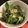 まーままい's cooksnap of when they made 三つ葉とワカメのナムル.