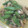 にゃお280's cooksnap of when they made いんげんと蒸し鶏のごまあえ.