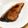 YuzuKizu's cooksnap of when they made ノンオイル★ブリの照り焼き.