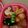 Disney♪♪'s cooksnap of when they made ✿キャラ弁 ミッキーのミートボール✿.
