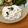 二角形's cooksnap of when they made ヒジキとしらすの白和え.