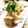 aya_welcom's cooksnap of when they made 蒸し豚と、美味しい食べ方♡.
