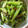 煌ちん's cooksnap of when they made つるむらさきの簡単ごま和え☆.