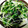 クックAあめちゃん★'s cooksnap of when they made かいわれ大根とわかめの中華風和え物.