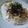☆sinnkuro★'s cooksnap of when they made S氏のパスタ（納豆タラコクリームパスタ）.
