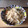 煌煌♪'s cooksnap of when they made 簡単 ふわふわ卵うどん.