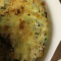 クックOEN6Y3☆'s cooksnap of when they made ねぎと鶏ひき肉のチーズパン粉焼き.