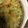 クックOEN6Y3☆'s cooksnap of when they made ねぎと鶏ひき肉のチーズパン粉焼き.