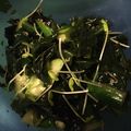 samaco's cooksnap of when they made 簡単☆美味♡シラスときゅうりのナムル♪.
