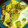 クックT0I6QG☆'s cooksnap of when they made もやしトマトの卵炒め※覚書.