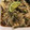 クックFSQU9B☆'s cooksnap of when they made すだち香る〜♪エノキぽん酢♡.