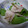 わ　わ's cooksnap of when they made 巻くだけ♪４種の豚巻き.