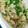 09mik's cooksnap of when they made もやしと油揚げの一品.