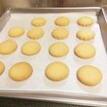 てぃくわ's cooksnap of when they made バター不使用☆簡単ザクザクビスケット.