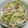 ワンと5ニャン's cooksnap of when they made 今が旬！柿ときゅうりのサラダ.