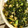 marianon's cooksnap of when they made 大根葉と鶏ひき肉のふりかけ.