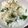anemonenan's cooksnap of when they made 春菊の混ぜ込みご飯.