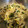 あやちろげ's cooksnap of when they made 簡単!もやしの塩昆布和え.