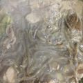 クックU0L1F9☆'s cooksnap of when they made 超簡単☆チキン＆アボカドのグリーンパスタ.