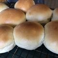 id405565's cooksnap of when they made 基本の丸パン.