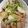 mifasora's cooksnap of when they made 娘に伝えたい＊蕪と豚肉の柚子胡椒炒め＊.