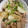 mifasora's cooksnap of when they made 娘に伝えたい＊蕪と豚肉の柚子胡椒炒め＊.