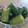 ＊和泉＊'s cooksnap of when they made ぱぱっと簡単ごま油できゅうり漬け.