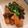 ラル♡'s cooksnap of when they made エリンギのみそバター炒め.