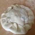 Yokchina's cooksnap of when they made 餃子の包み方いろいろ　～８種類～.