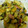べー72's cooksnap of when they made 鮭ときのこと薩摩芋のマヨわさ和え。.