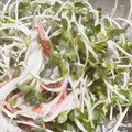 こじぴー's cooksnap of when they made かいわれ大根とカニカマのマヨおかか合え.