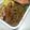 イノコ台所研究所's cooksnap of when they made ごぼうと豚肉の味噌炒め.