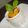 ＊ai＊'s cooksnap of when they made かぼちゃのサラダ.