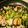 クックNM57TE☆'s cooksnap of when they made 【10分】ナスとピーマン、豚肉の中華炒め.