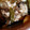 クックIURECE☆'s cooksnap of when they made 厚揚げで簡単！肉豆腐.