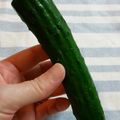 いしまいﾁｬﾝ's cooksnap of when they made キュウリの一先ず保存はこれ！.