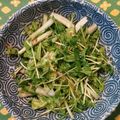 リーサの庭's cooksnap of when they made ヘルシー！たっぷり白菜豆苗サラダ.