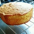 ミカンパウダー's cooksnap of when they made 共立てスポンジ生地.