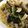 a0024755's cooksnap of when they made ♪ほうれん草ときのこのスパゲッティー♬.