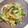 mieko0225's cooksnap of when they made レンジで簡単！もやしの中華和え.