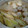 ぷちょ。's cooksnap of when they made うちの簡単！鍋つゆ.