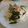 八重樫's cooksnap of when they made 豚肉でそうめんチャンプルー.
