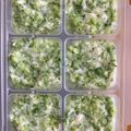 kiki7112's cooksnap of when they made ★離乳食★初期・ブロッコリーと鯛のダシ煮.