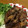 kiki7112's cooksnap of when they made 簡単節約♪エノキの肉巻き.