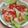 きらり流れ星's cooksnap of when they made ＊ツナとトマトのマリネサラダ＊.