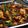 COOKますのすけ's cooksnap of when they made ちょっと本格！四川麻婆豆腐.