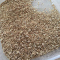 みゃーちゃん611's cooksnap of when they made ダイエットに！簡単蒸ししょうが.